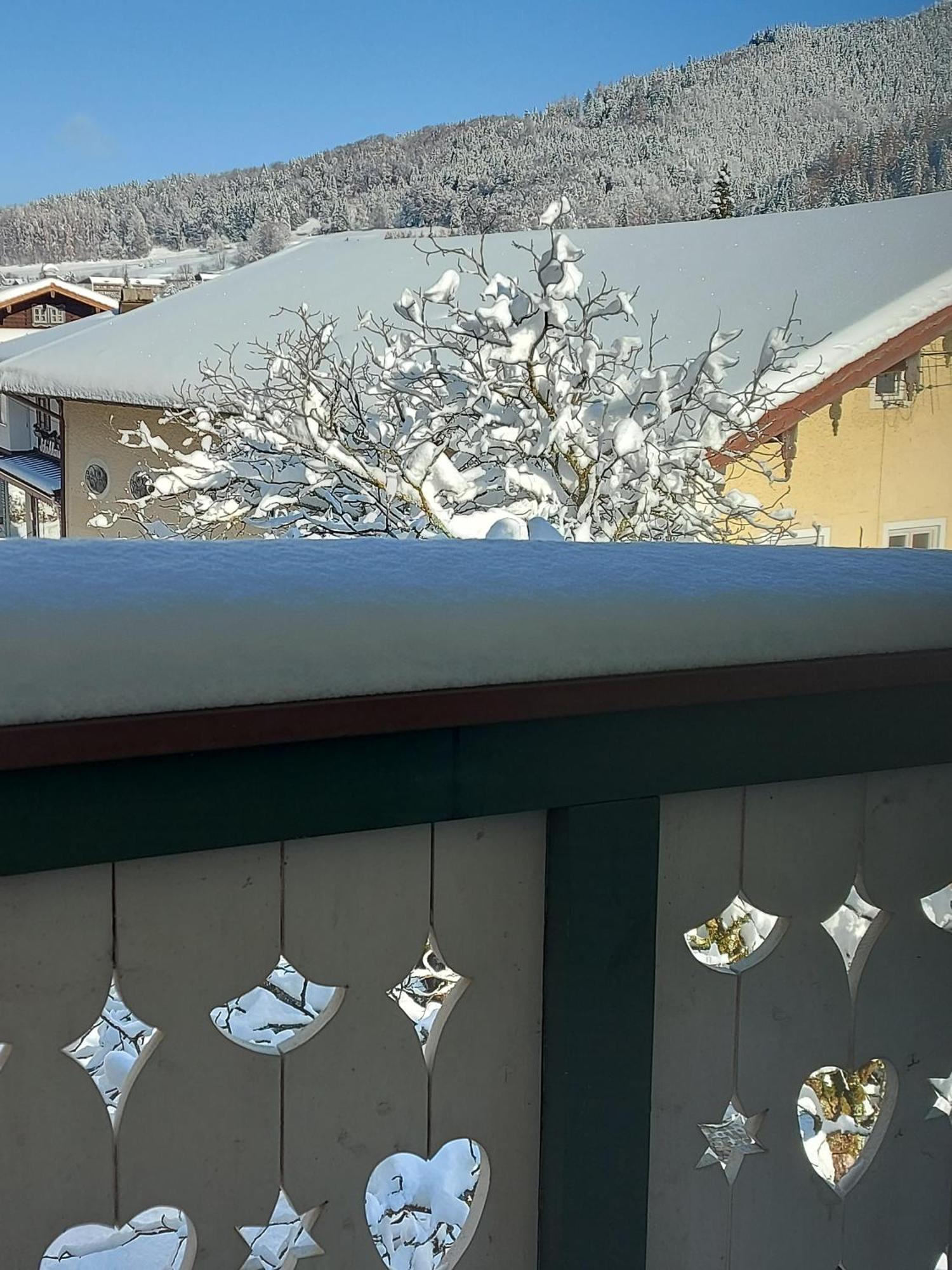 Ferienwohnungen Schneiderhaeusl Inkl. Chiemgaukarte Ruhpolding Exteriér fotografie
